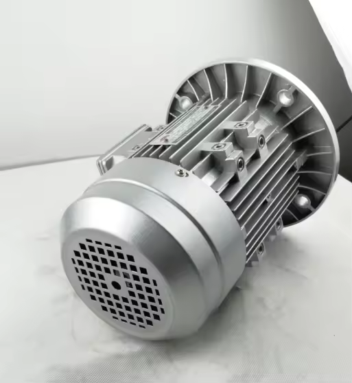 Tops Flange Type 2.2kw B5 MS100L1-4 220/380 V Three Phase AC 1400rpm Electric Motor manufacture