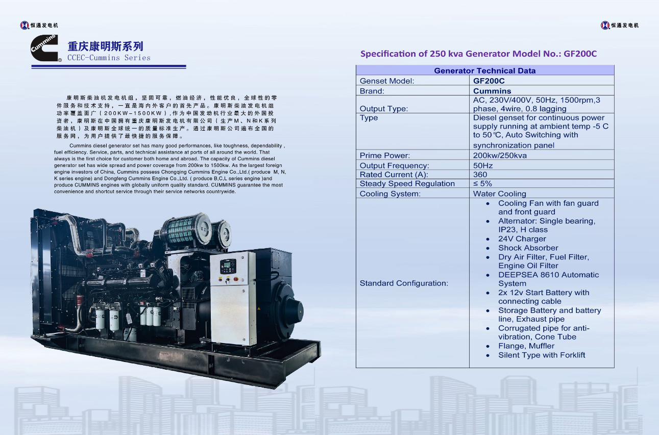 250kva Diesel Generator Set