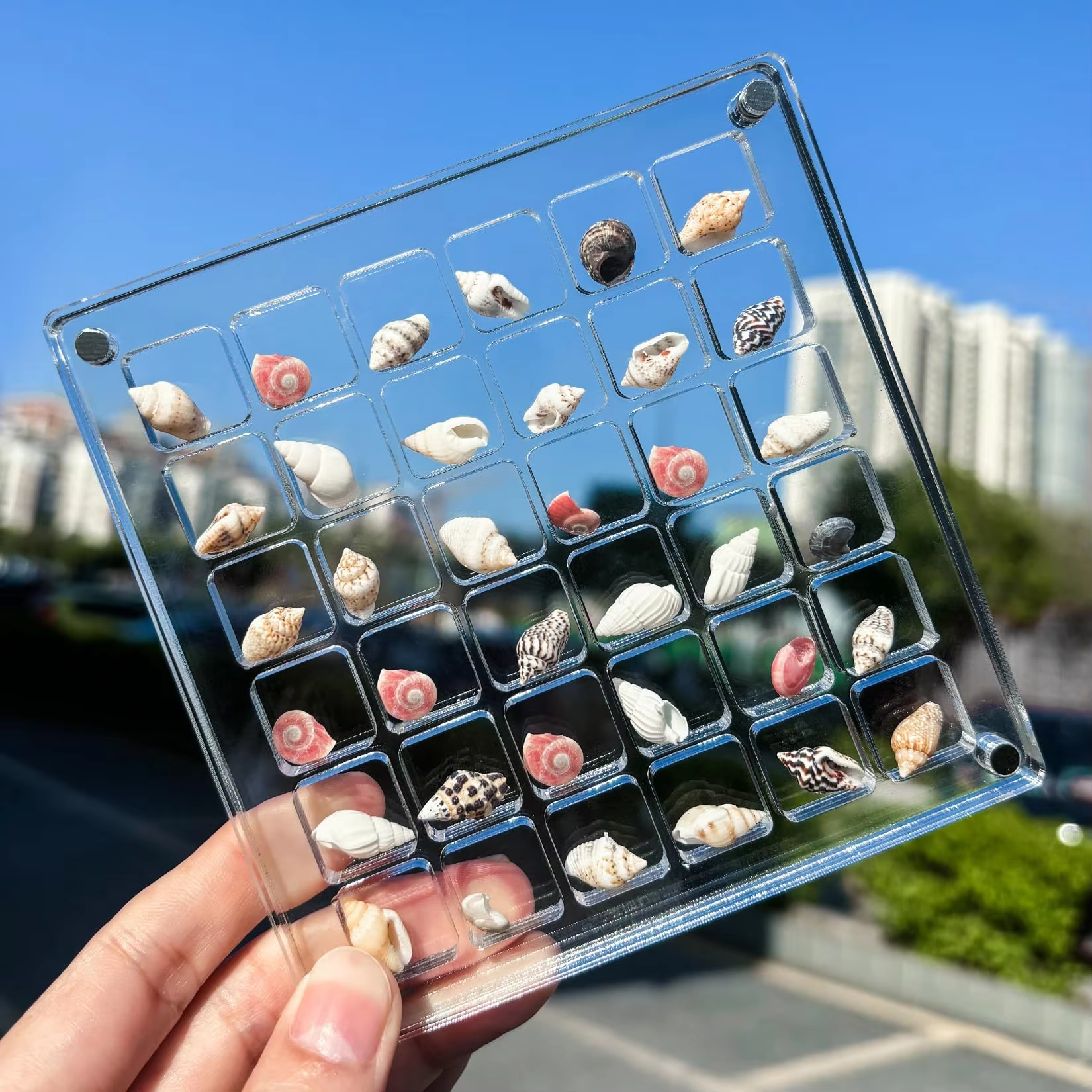 What fits in a small acrylic display box?