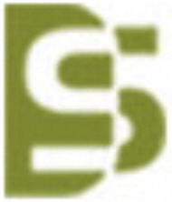 www.szdashanrobot.com favicon