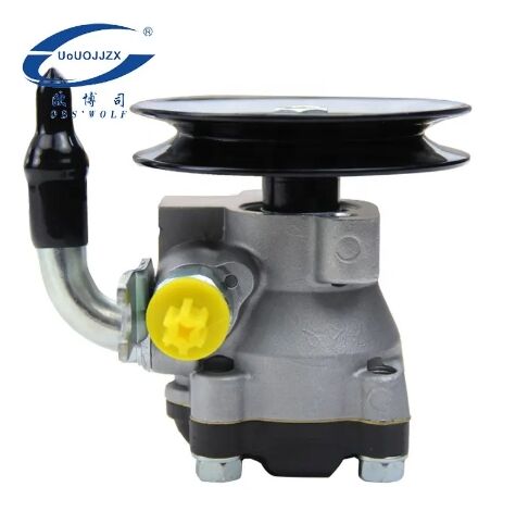 Auto Power Steering Pump Assembly for Hyundai Elantra 00-05 57100-2D000 57100-2D020 57100-2D050