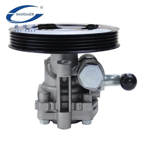 Auto Power Steering Pump for Mitsubishi Pajero PININ H77 H76 4G94 4G93 5PK MR455402