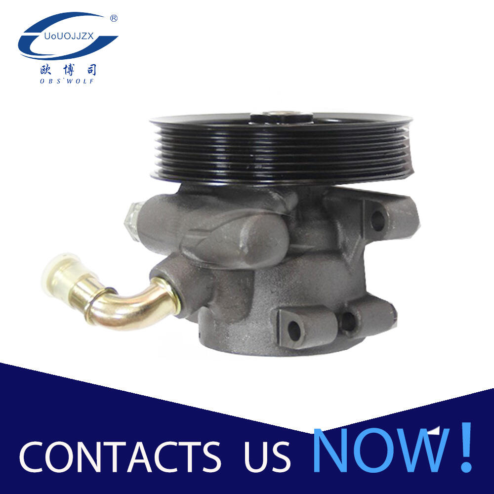 Steering Pump For FORD FOCUS 1.6 1.1.DD.1901