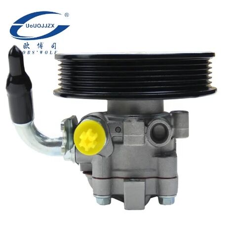 Power Steering System Hydraulic Auto Power Steering Pump for Hyundai Santa Fe KIA Sorento 57100-2B000 57100-2P000-QX