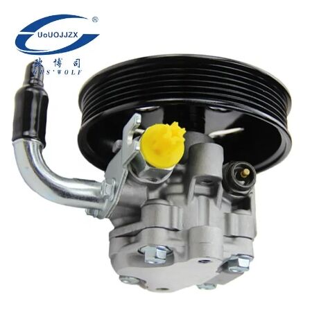 Auto Parts Hydraulic Power Steering Pump Assembly for Hyundai ix35 G4NA 57100-2Z000 57100-3S000 57100-2S100