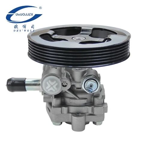 Power Steering Pump For Mitsubishi Outlander 2.4 4G69 CU5W NA4W MN100472 4450A162 4450A163