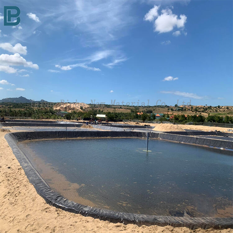 Choisir le bon liner de bassin pour votre projet d'aquaculture