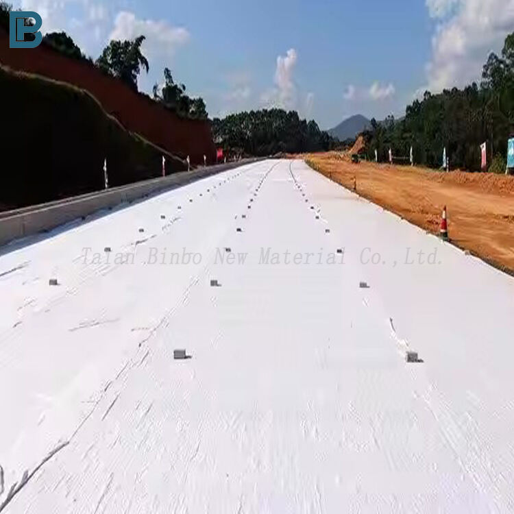 Coastal Protection System