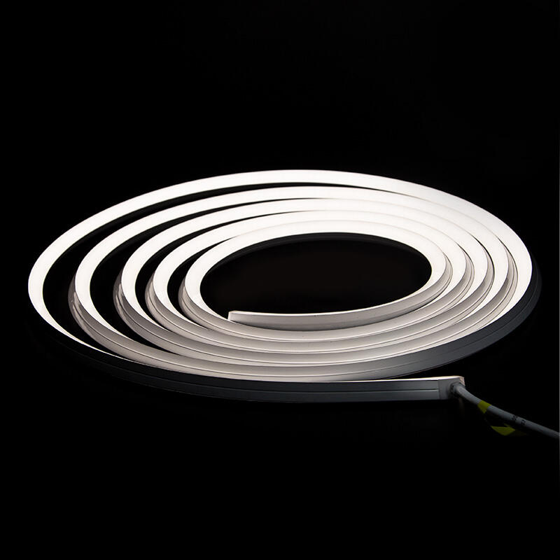 Neon Flex 3D Bend 1313 3D