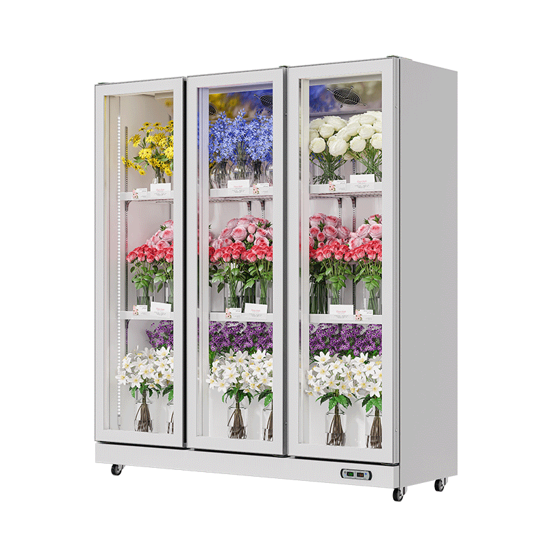 Floral Cooler White (Rearmounted Compressor)（3 Doors）