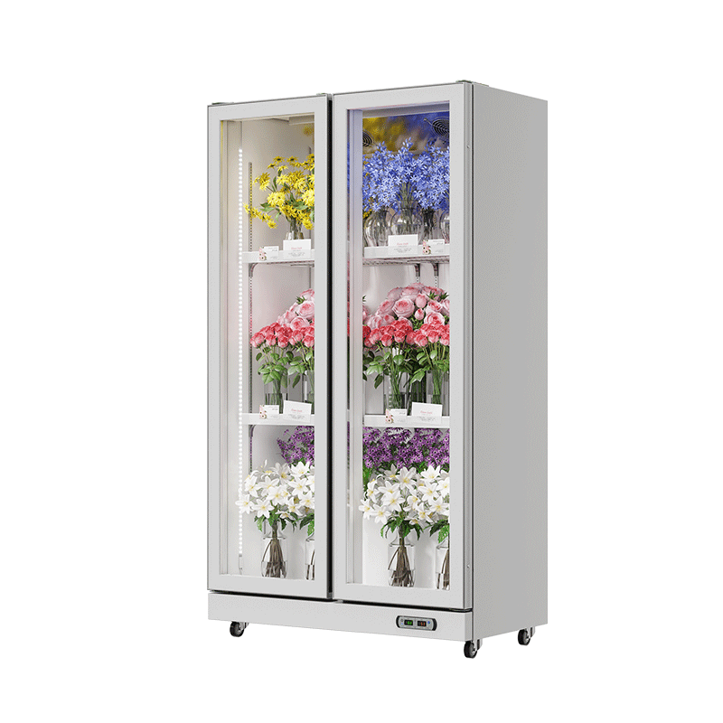 Floral Cooler White (Rearmounted Compressor)（2 Doors）