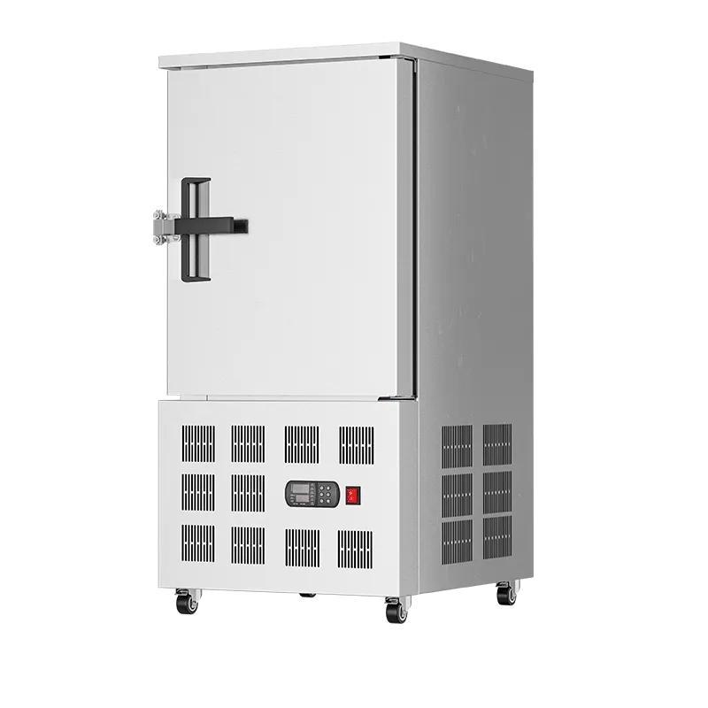 Choosing the Best Blast Freezer for Your Business