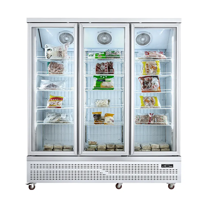 Glass Door Freezer: Transparent and Productive Cooling Solutions