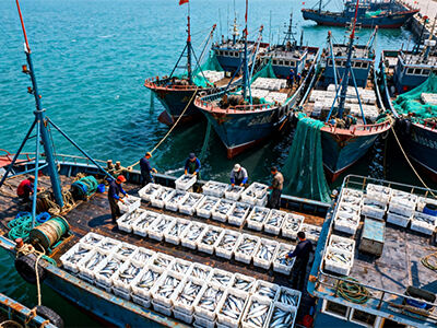 Industrial Flake Ice Machines for Continuous Seafood Preservation