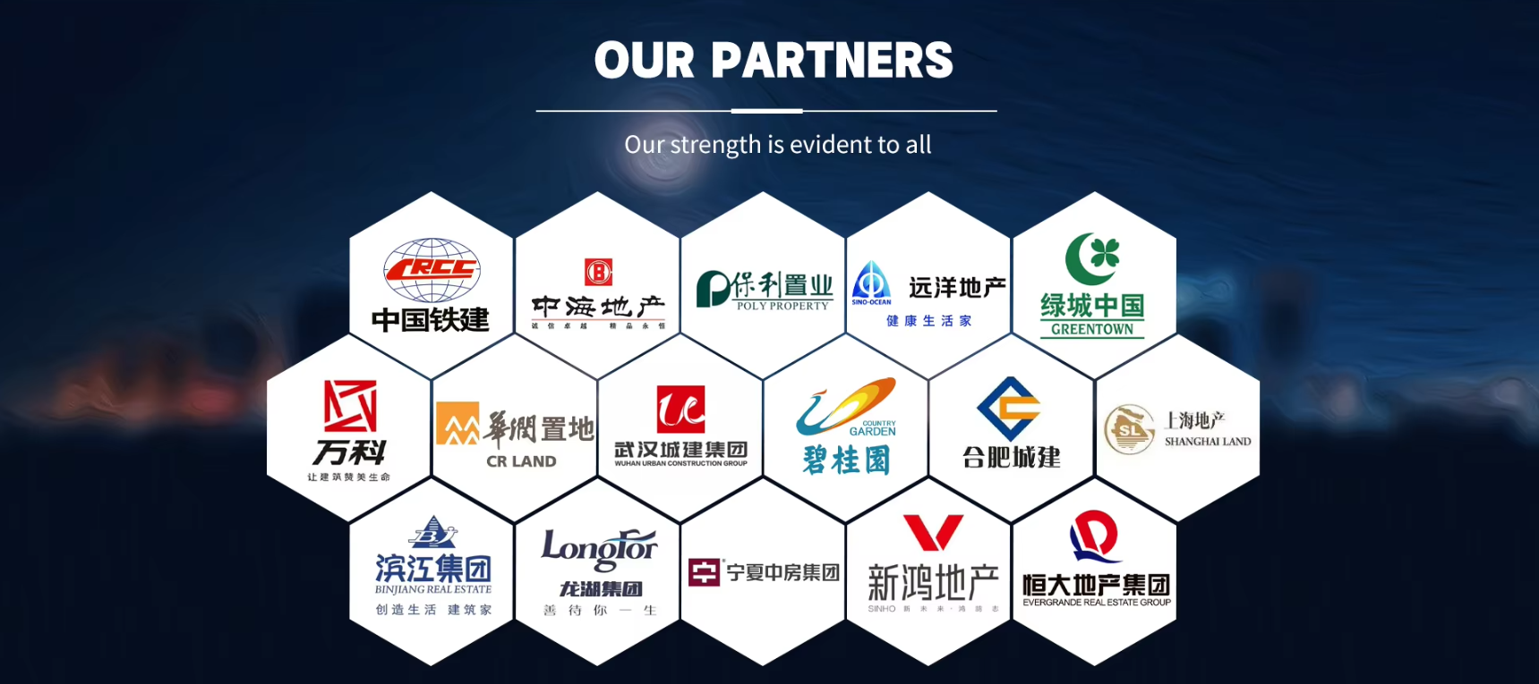 OUR PARTNERS