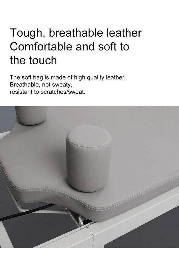 Advanced Portability System