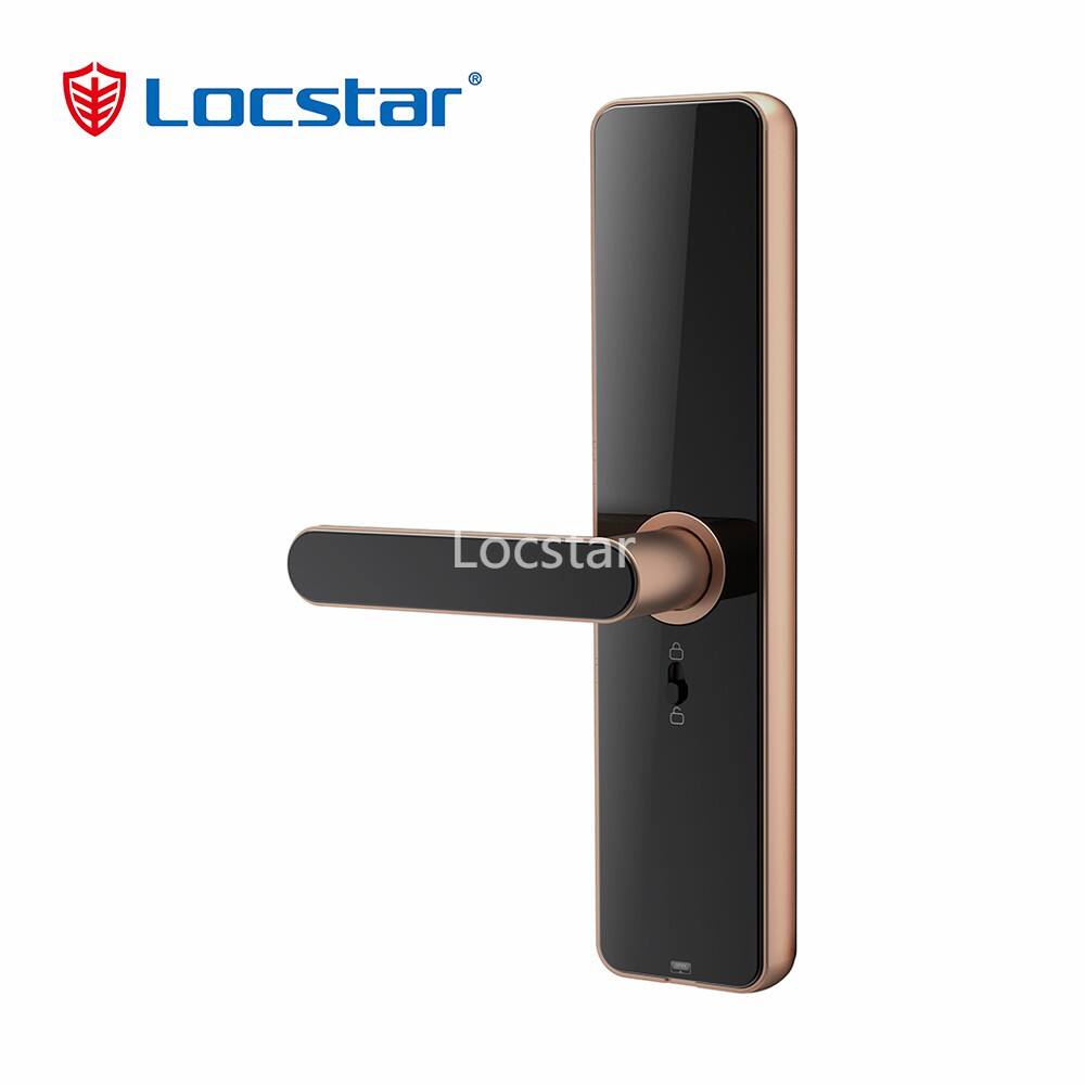 touchscreen door lock