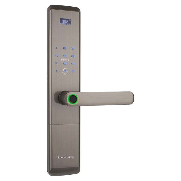 digital entry door lock