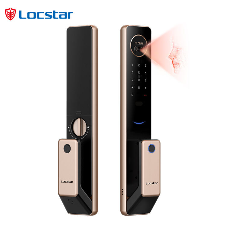 3D Face Recognition Digital Keypad Biometric Fingerprint Intelligent Push Pull Smart Door Lock