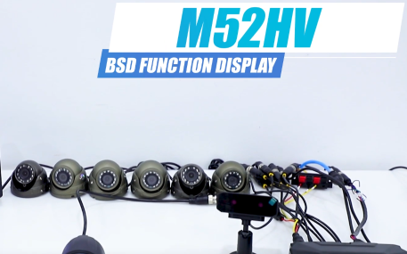 BSD Function