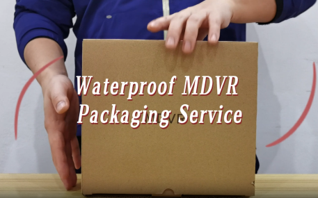 M32Hv-Packaging Service