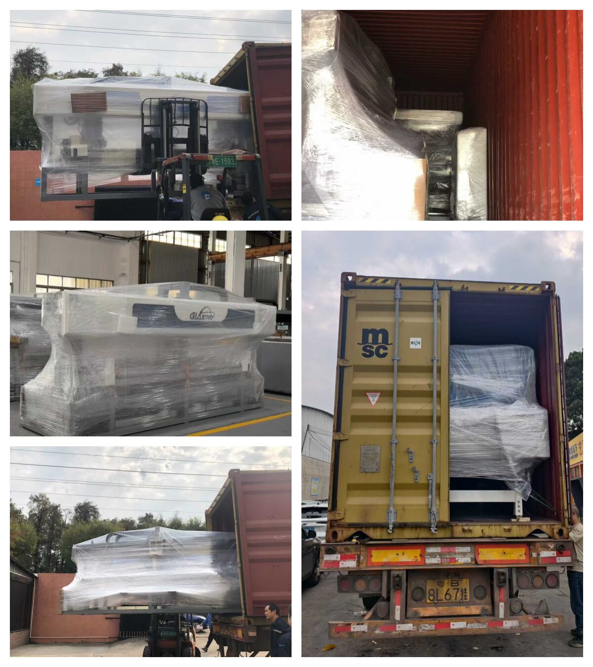 GLASINO Latest Shipping News!!!