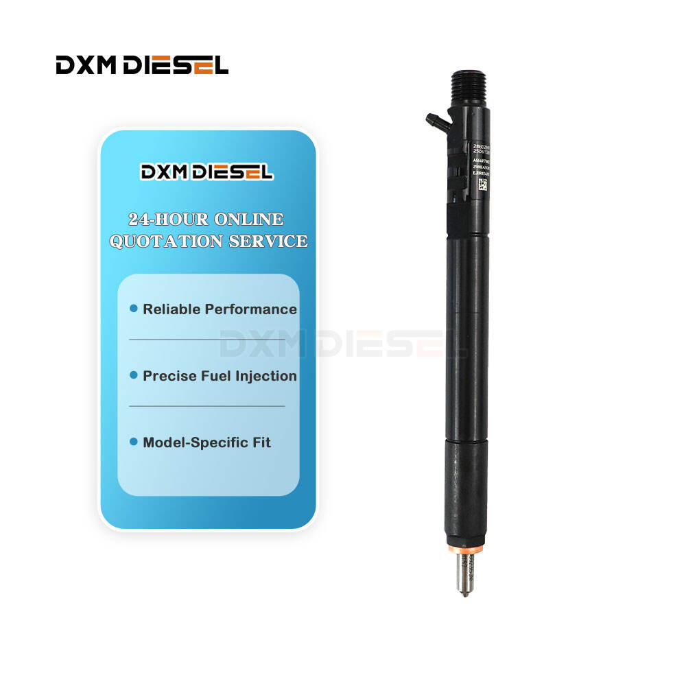 Delphi OEM High Quality Diesel Fuel Injector A6640170021 EJBR03401D for Ssangyong Kyron Actyon 2.0 Xdi