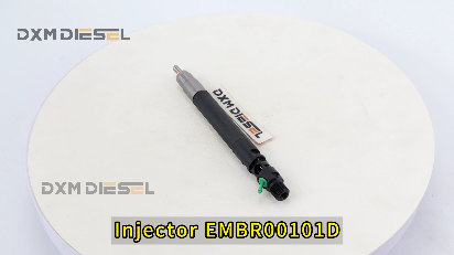 Injector EMBR00101D