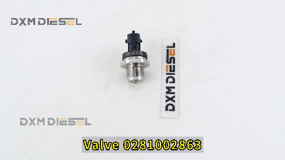 Valve 0281002863