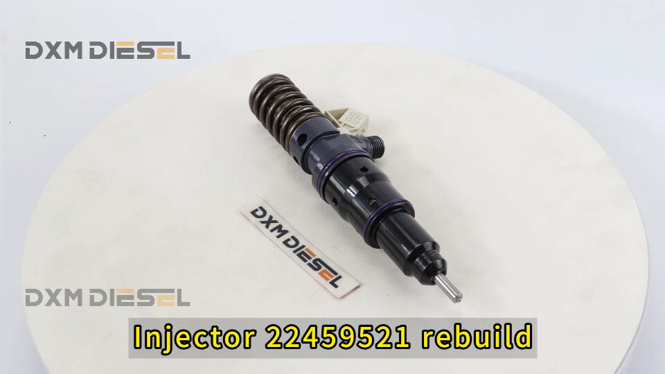 Injector 22459521 rebuild