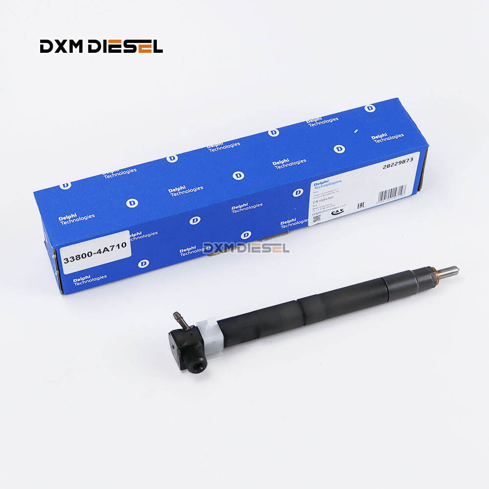 Best DELPHI genuine fuel injector 28229873 33800-4A710 HYUNDAI KIA Manufacturer and Factory