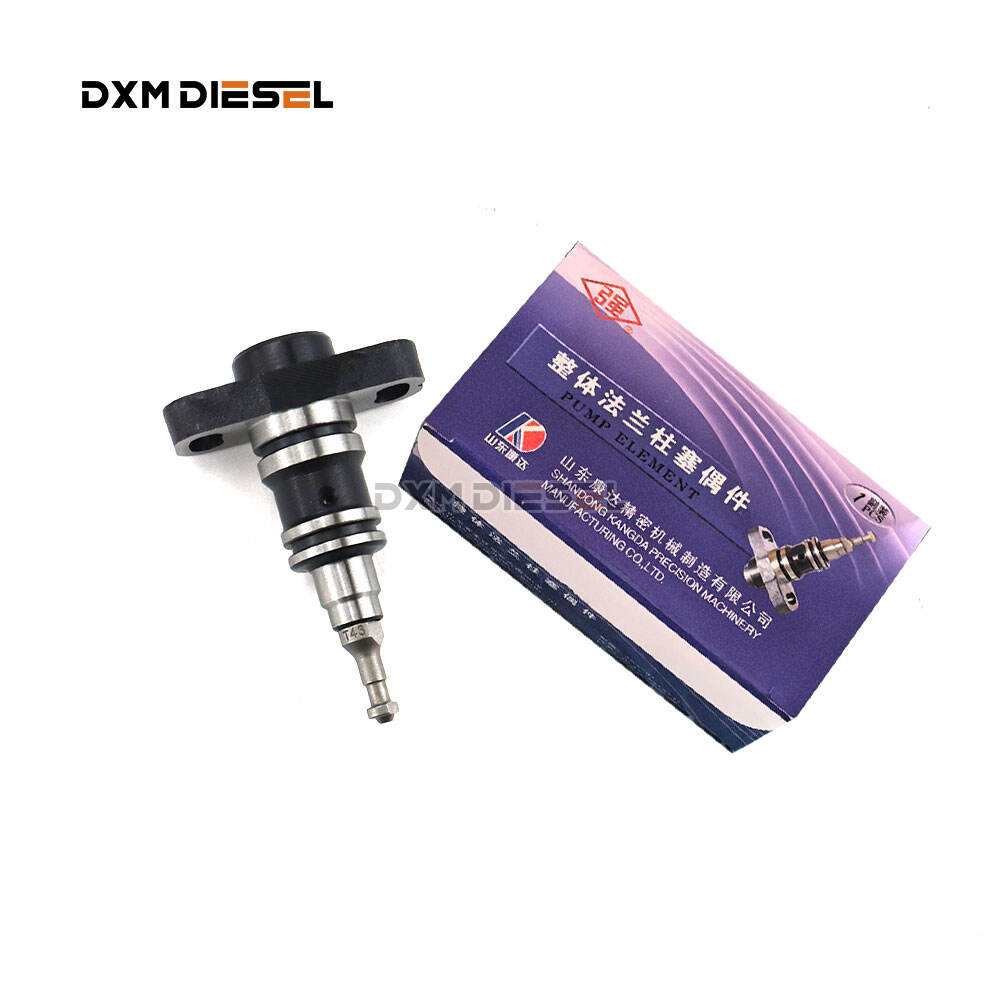 Kangda Fuel Injection Pump BQ2000 Plunger element T43 SAZ90QTH3 (T43=T23)