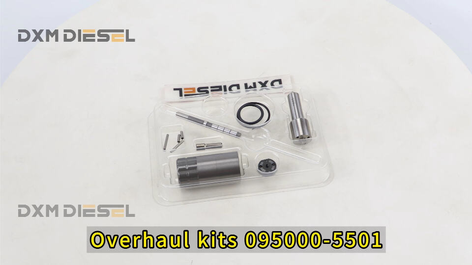 Overhaul kits 095000-5501