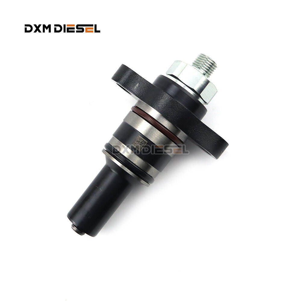 CP2.2 Fuel Injection Pump Plunger 2469403622 F019 D03 313 F019D03313 F019D03317 for Weichai WP12 WP10 WP6 WD10