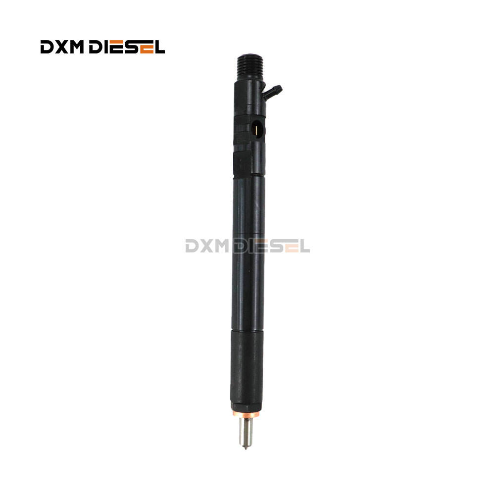 DELPHI fuel injector EJBR04501D for common rail A6640170121,6640170121