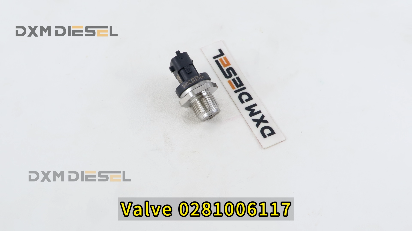 Valve 0281006117