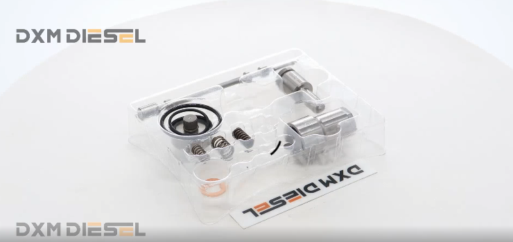 Overhaul kits 2488244