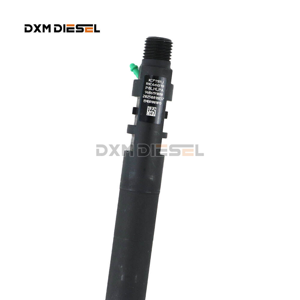 Common Rail Injector Embr00101d for Injecteur DELPHI EMBR00101D R00101DP 2.0 HDi 2.0 TDCi