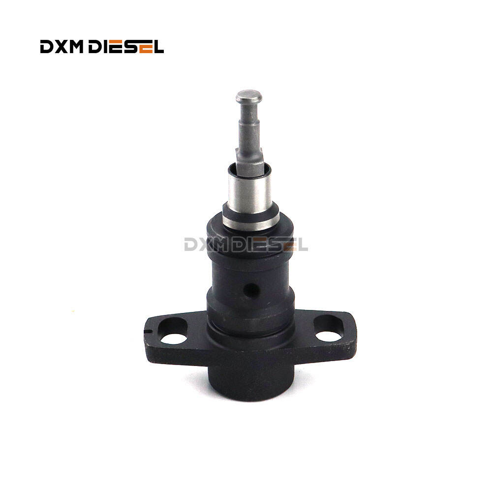 PL2 plunger  weifu(3).jpg