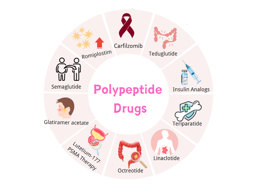 Polypeptides Drugs: The Future of Biomedicine