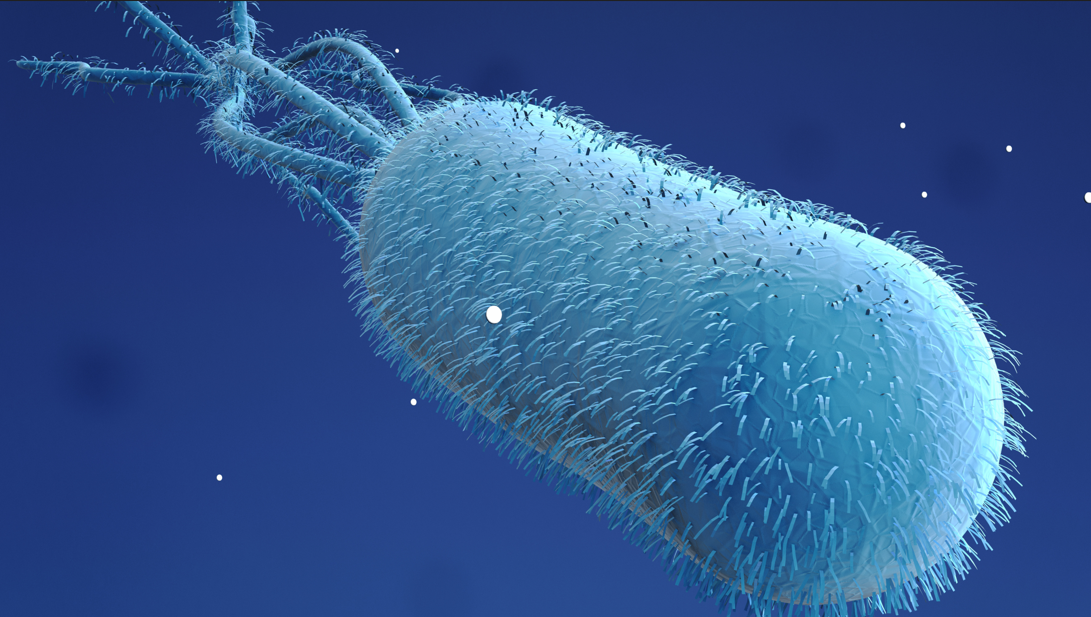 E. coli: Một động cơ đa năng cho sự đổi mới thuốc