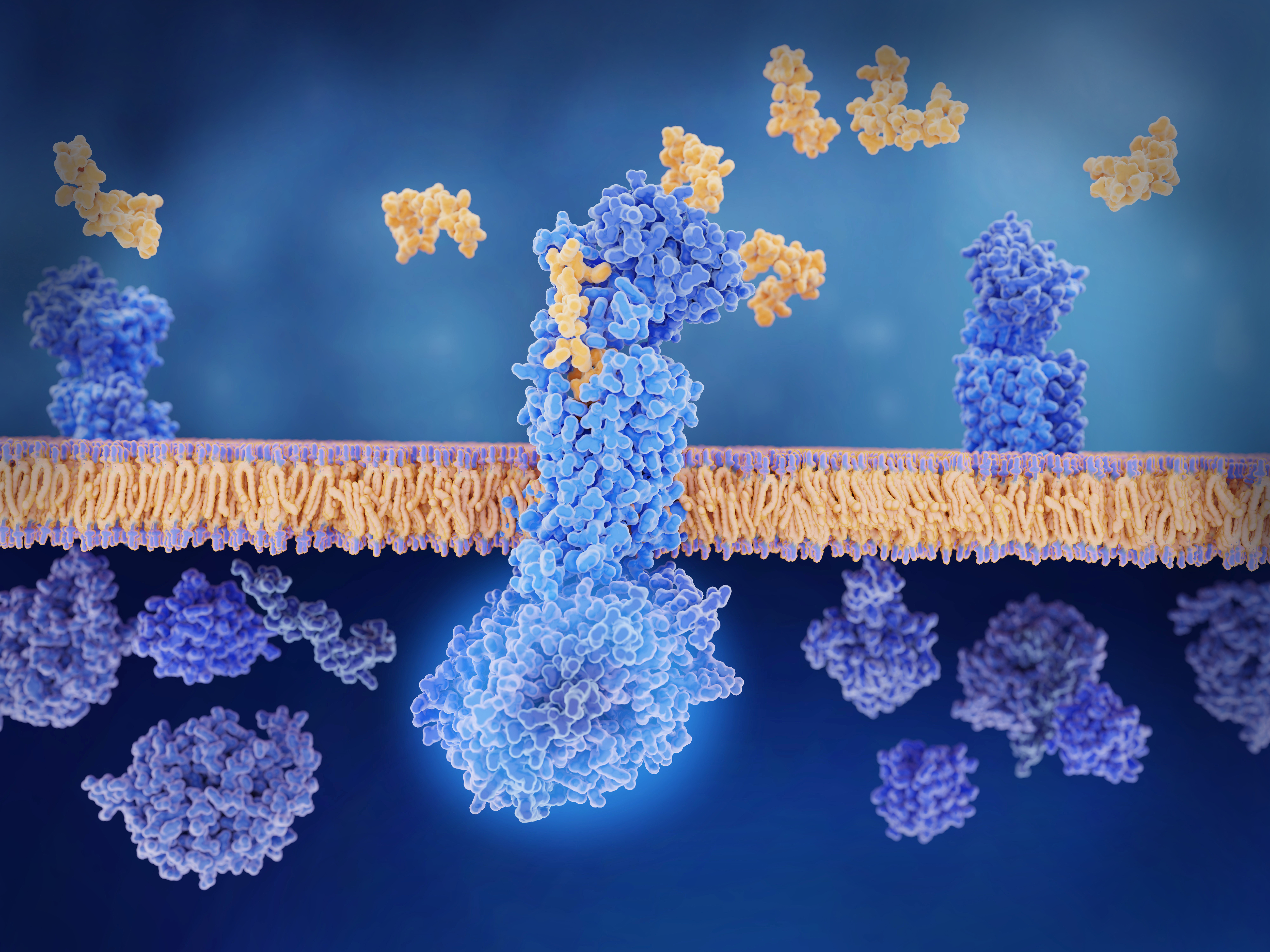 Overcoming Challenges in Recombinant Protein Purification