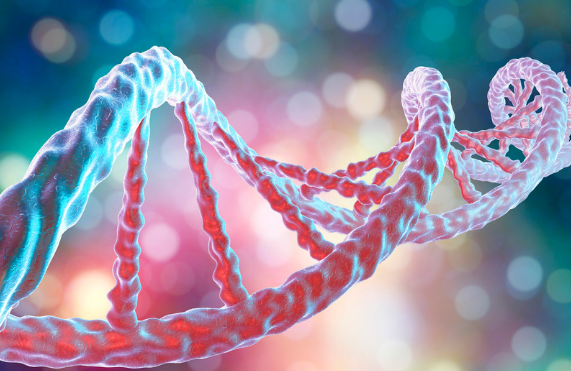 Plasmid DNA: The Key to Unlocking Cancer's Therapy Code