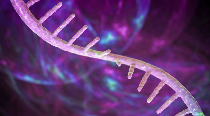 Die veelsydige rol van eGFP-verslaggewer-RNA