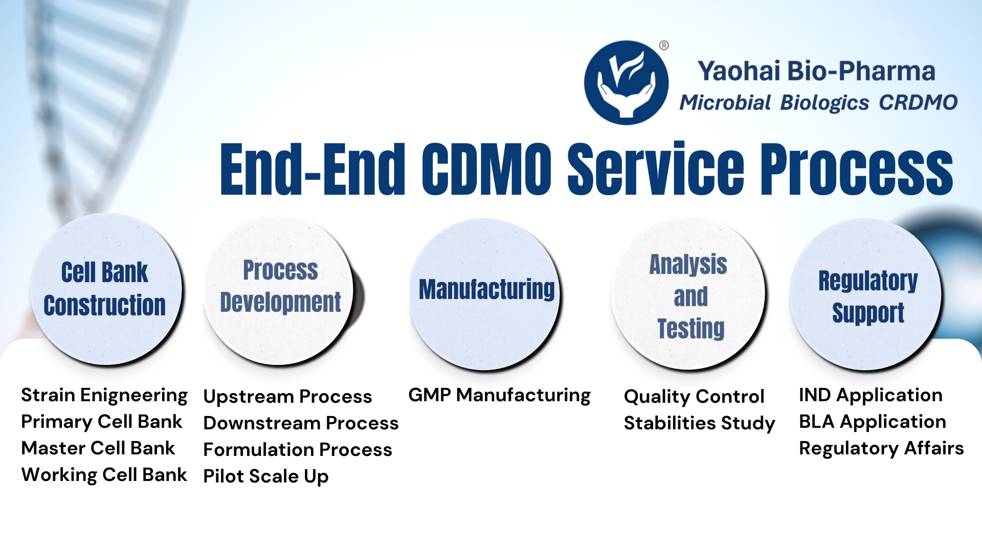 CDMO là gì? Hiểu về vai trò và lợi ích