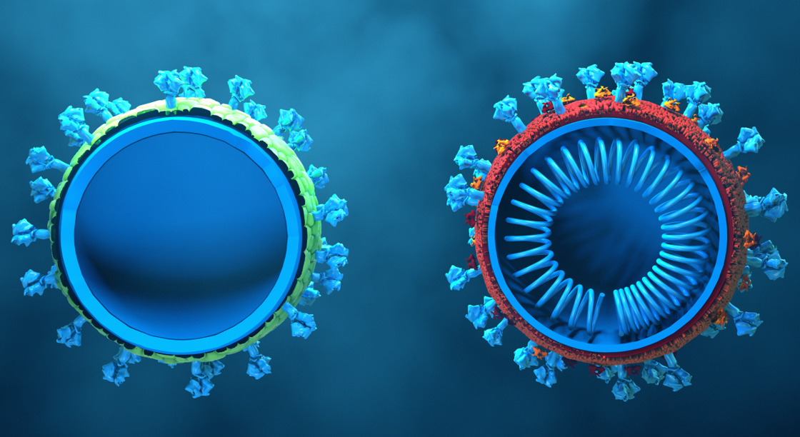 VLP's: baanbrekende preventie bij infectieziekten en kanker