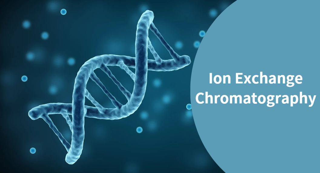 Investigate the Purity of RNA: Ion Exchange Chromatography