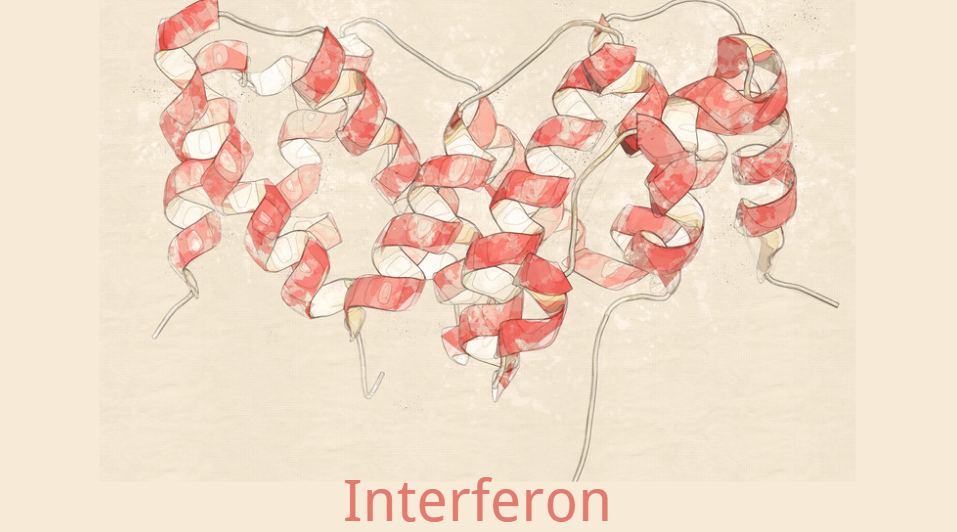 Sản xuất và tinh chế Interferon