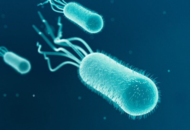 Mengoptimalkan Integritas Seluler E. coli untuk Produksi Biofarmasi