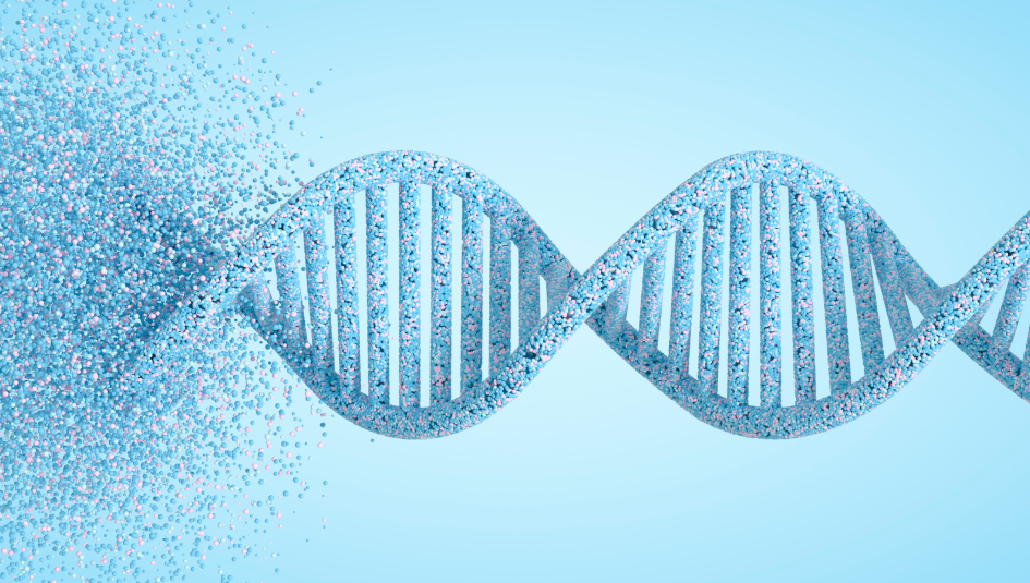 Plasmid: Ein kleines ringförmiges DNA-Molekül mit großem Potenzial